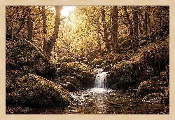 Fairy Glen Serenity