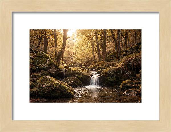 Fairy Glen Serenity