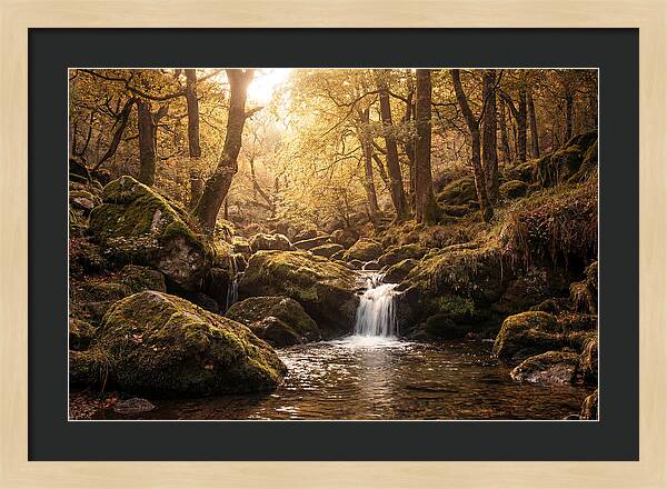 Fairy Glen Serenity