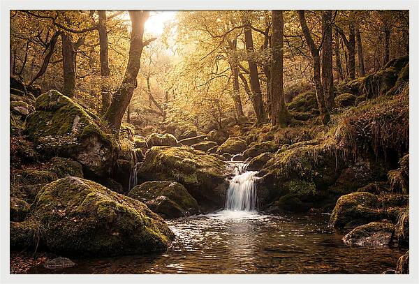 Fairy Glen Serenity