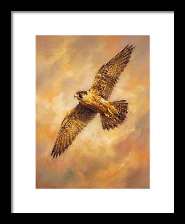 Falcon In Flight