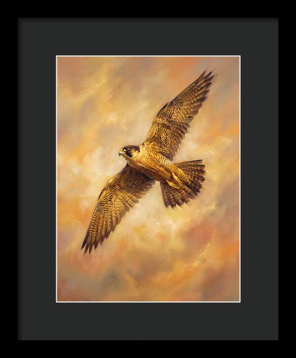 Falcon In Flight