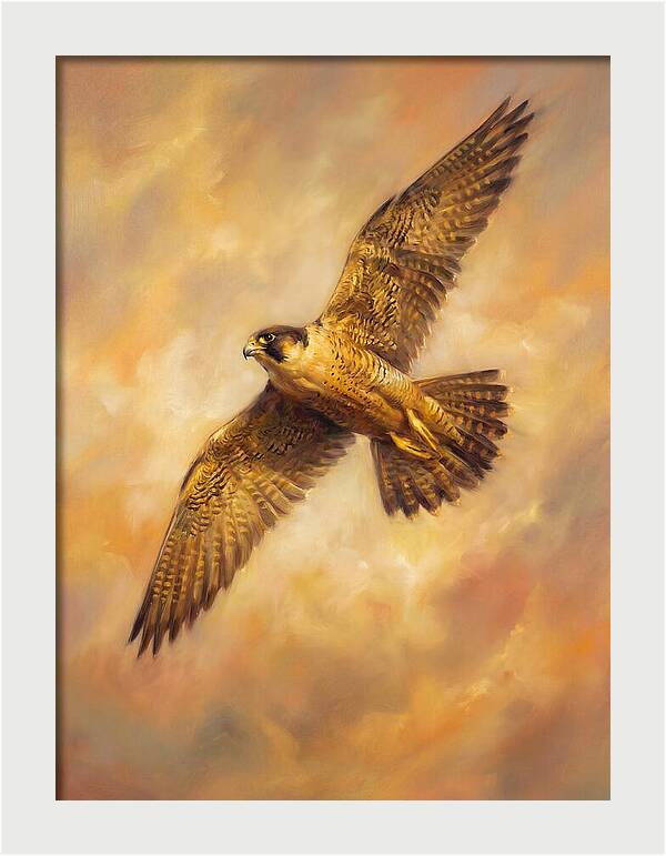 Falcon In Flight