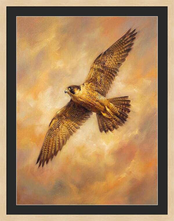 Falcon In Flight