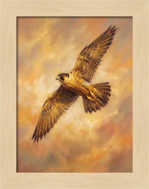 Falcon In Flight