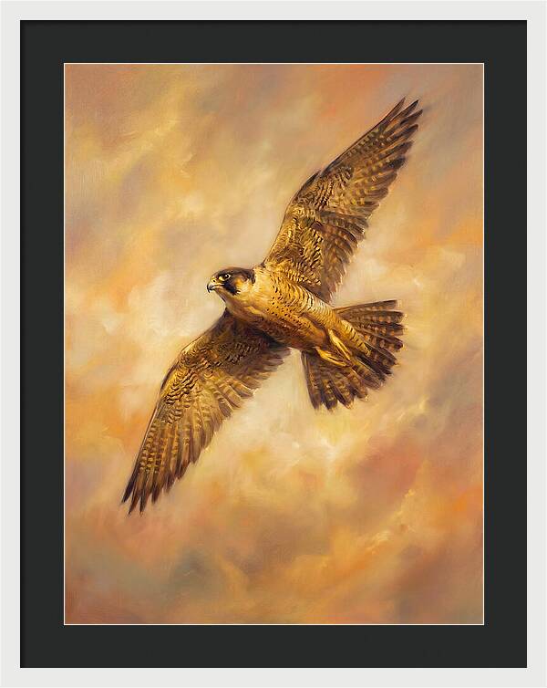 Falcon In Flight