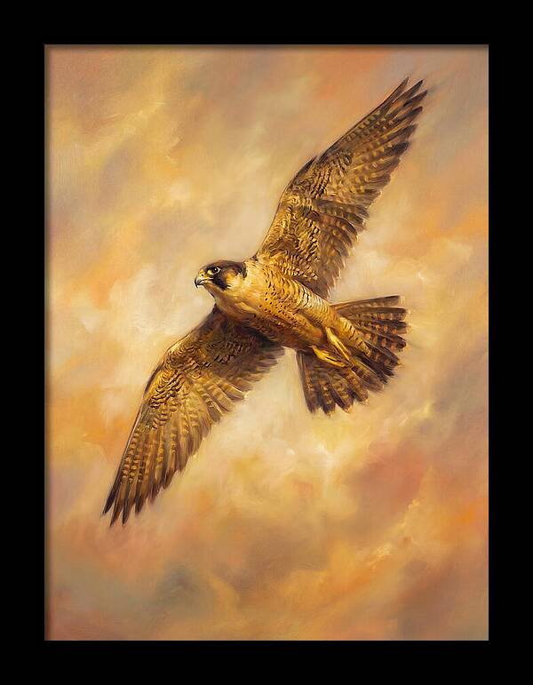 Falcon In Flight