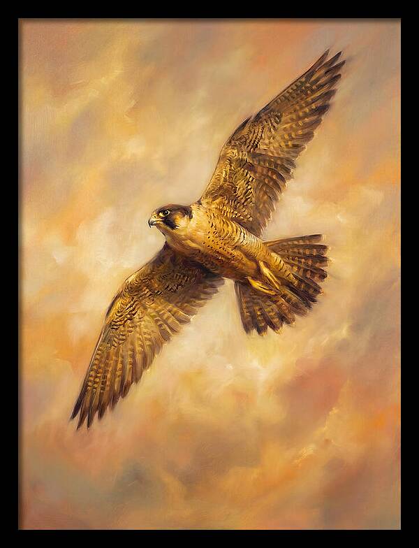 Falcon In Flight