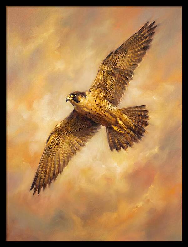 Falcon In Flight