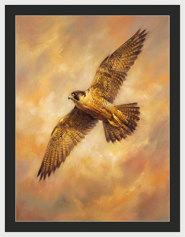 Falcon In Flight