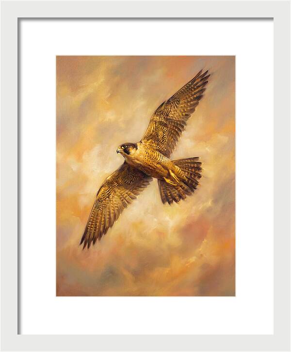 Falcon In Flight