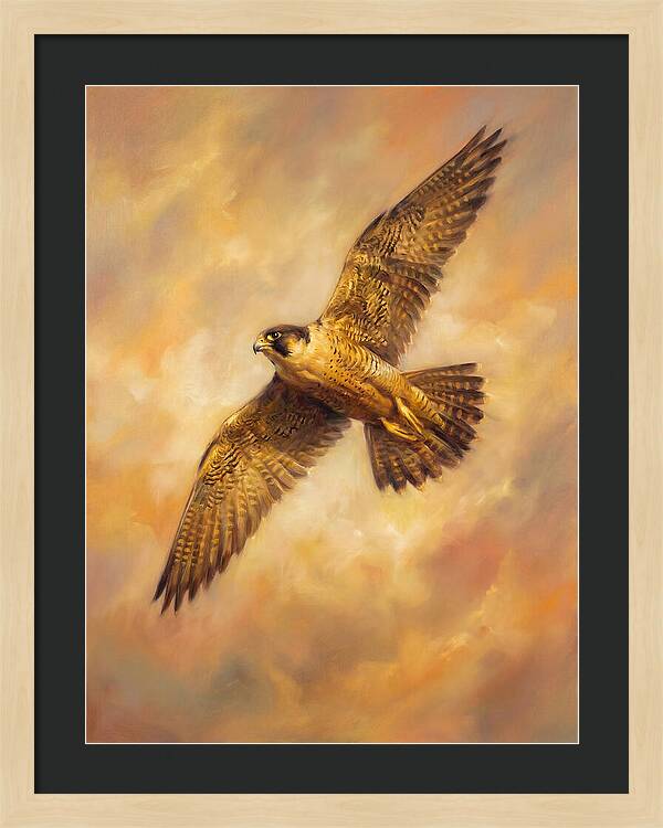 Falcon In Flight