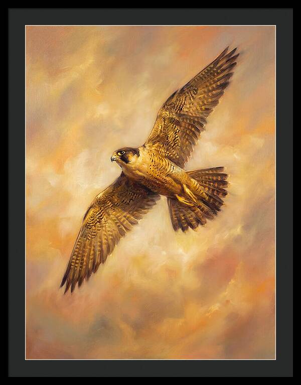 Falcon In Flight