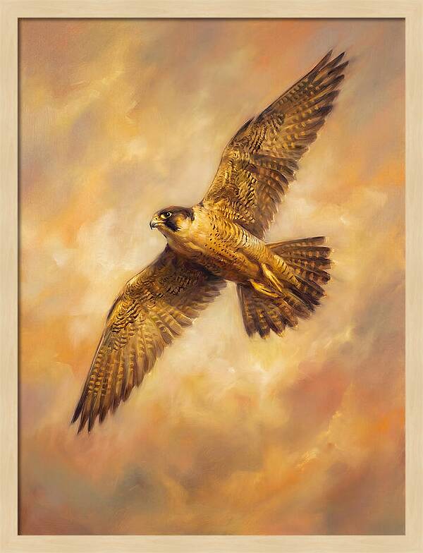 Falcon In Flight
