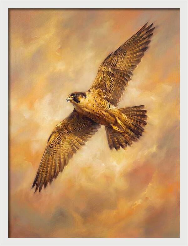 Falcon In Flight