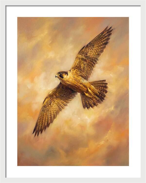 Falcon In Flight