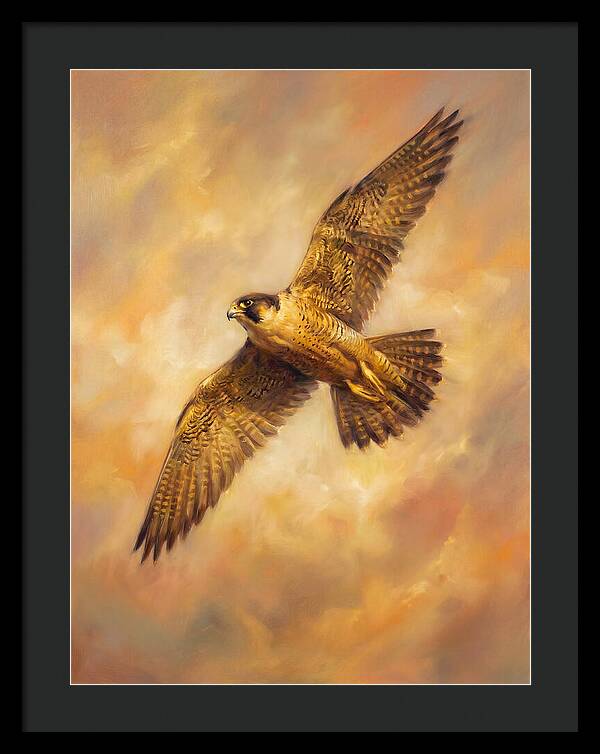 Falcon In Flight
