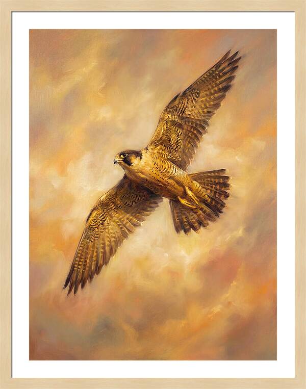 Falcon In Flight