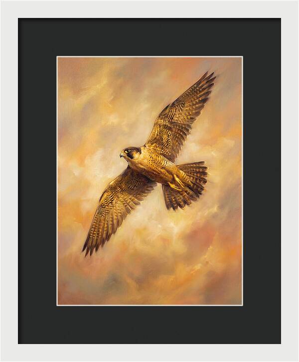 Falcon In Flight