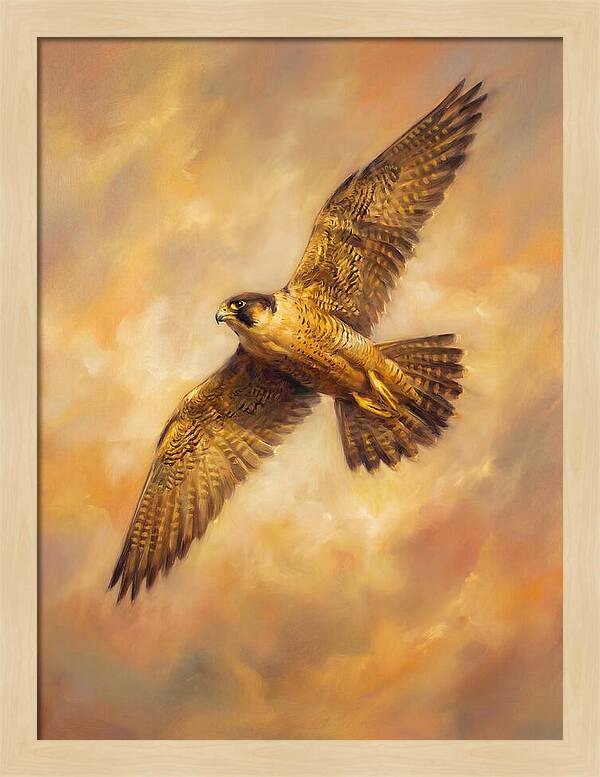 Falcon In Flight