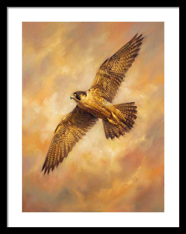 Falcon In Flight