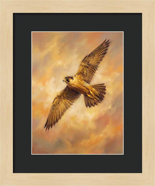 Falcon In Flight