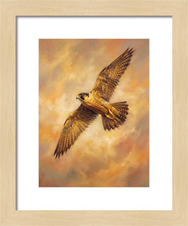 Falcon In Flight
