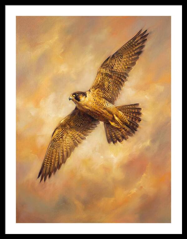 Falcon In Flight
