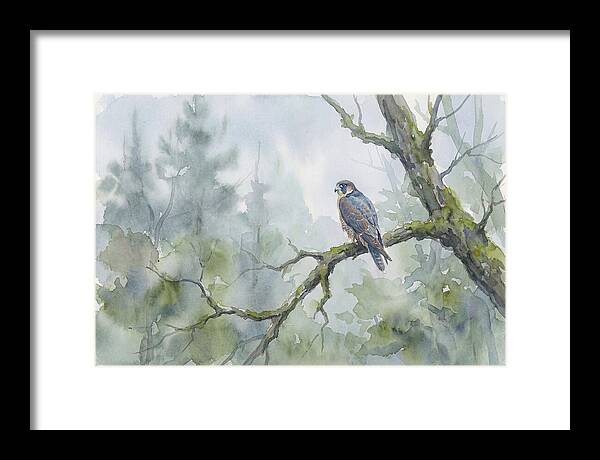 Falcon Perched In Misty Forest
