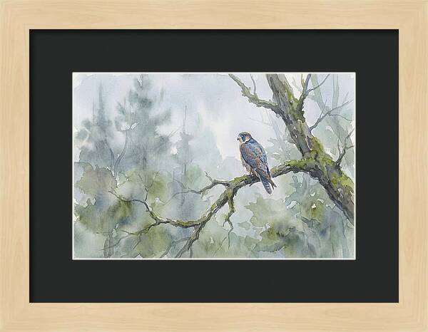 Falcon Perched In Misty Forest