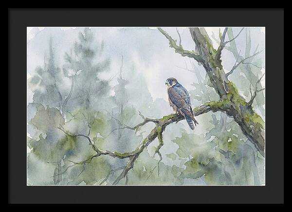 Falcon Perched In Misty Forest