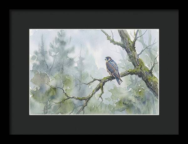 Falcon Perched In Misty Forest