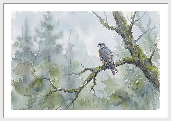 Falcon Perched In Misty Forest