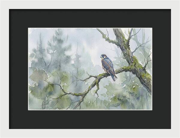 Falcon Perched In Misty Forest