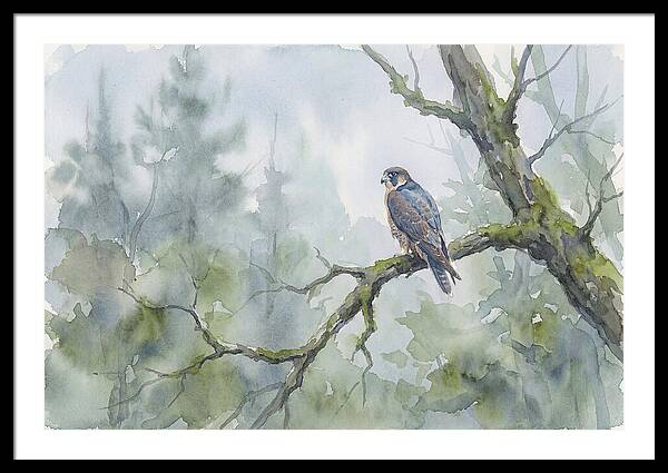 Falcon Perched In Misty Forest