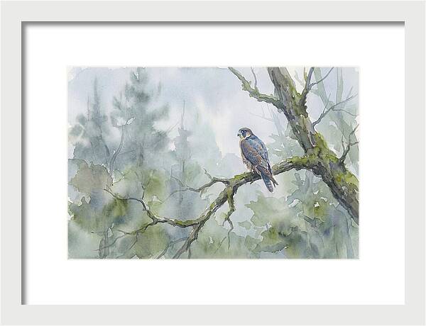 Falcon Perched In Misty Forest