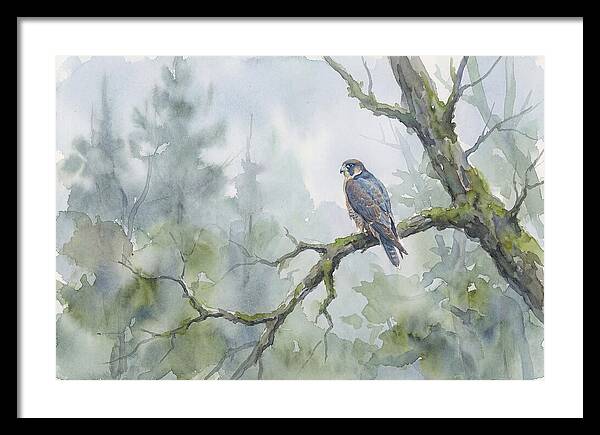 Falcon Perched In Misty Forest