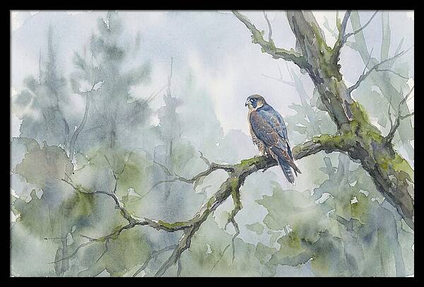 Falcon Perched In Misty Forest