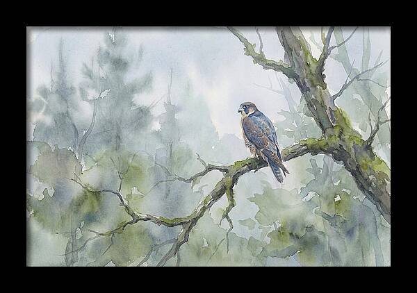 Falcon Perched In Misty Forest