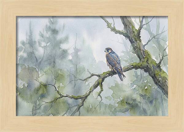 Falcon Perched In Misty Forest