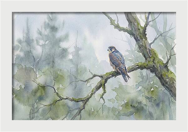 Falcon Perched In Misty Forest