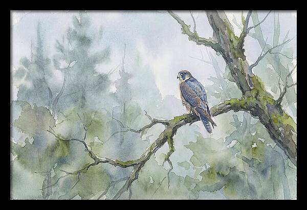 Falcon Perched In Misty Forest