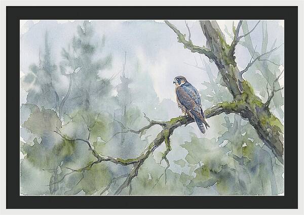 Falcon Perched In Misty Forest