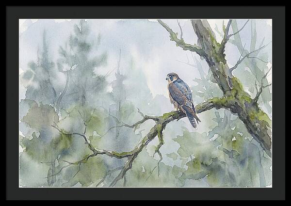 Falcon Perched In Misty Forest