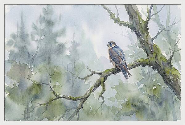 Falcon Perched In Misty Forest