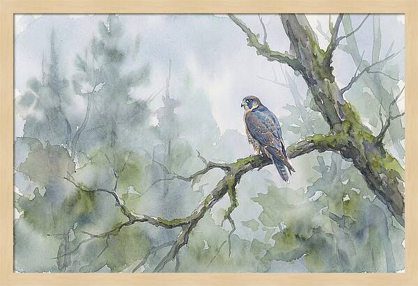 Falcon Perched In Misty Forest