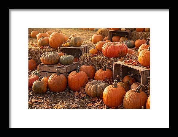 Fall Pumpkin Patch Delight