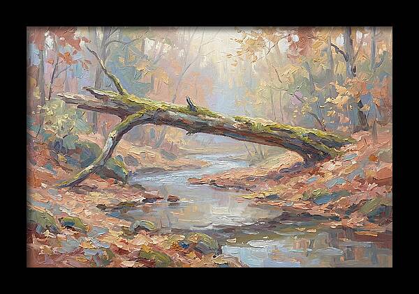 Fallen Log Bridge Over Stream