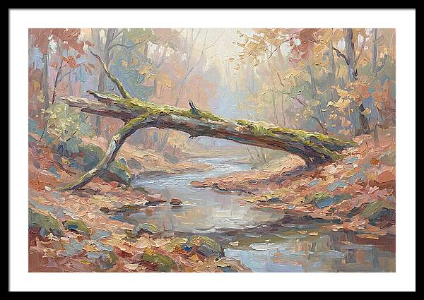 Fallen Log Bridge Over Stream