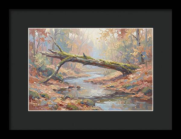Fallen Log Bridge Over Stream